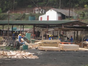 There’s a saw mill that processes the many trees that are in the surrounding hills. 